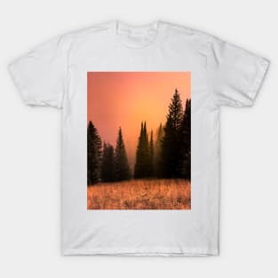 Foggy sunset in redwood forest T-Shirt